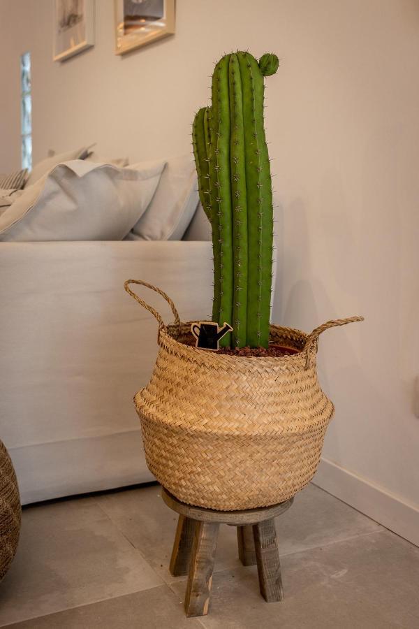 Flatguest Orinoco + Pool + Terrace + Garden Mogán Exterior foto